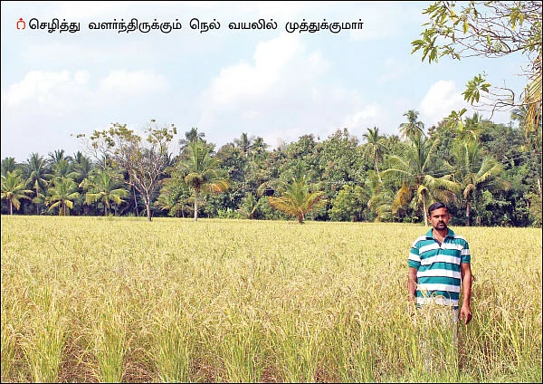 இயற்கை எரிவாயுக் கழிவில் செழிக்கும் நெல் விளைச்சல்... இது கதிராமங்கலம் சாதனை!