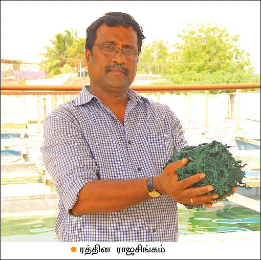 பணம் குவிக்கும் பண்ணைத்தொழில்கள் - 6 - தொட்டியில் வளரும் பணம்... ஸ்பைருலினா!