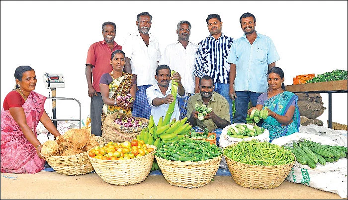 விதை முதல் விளைபொருள் விற்பனை வரை...வழிகாட்டும் ஓசூர் டி.வி.எஸ் நிறுவனம்!
