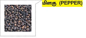 அக்ரி கமாடிட்டி - 2013