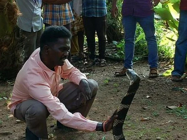 தப்பிப்பிழைத்த `பாம்புபிடி’ மன்னன் வாவா சுரேஷ்; தற்போது எப்படி இருக்கிறார்?