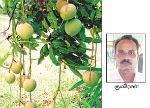 நீங்கள் கேட்டவை