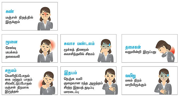 ரத்த சோகை (அனீமியா)