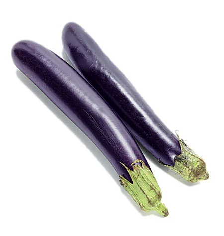 கபம் போக்கும் கத்திரிப்பிஞ்சு!