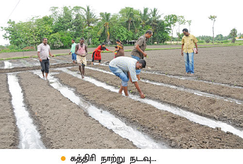 'ஒரு நாள் விவசாயி!'