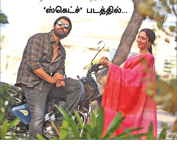 மிஸ்டர் மியாவ்