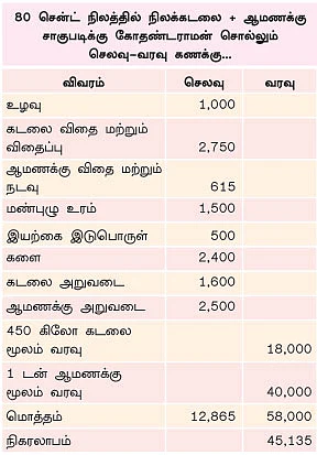 கலங்க விடாத கடலை....அள்ளிக்கொடுக்கும் ஆமணக்கு....