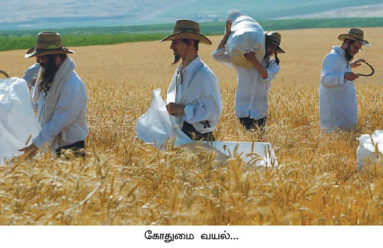 ஆளில்லாமல்... நீரில்லாமல்... நிலமில்லாமல்...