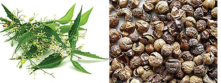கிச்சன் கிளினிக் - உணவே விருந்து உணவே மருந்து