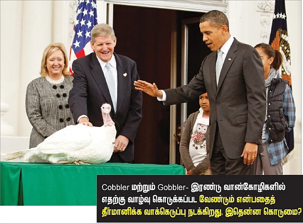 அறிவிழி