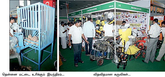 ஜொலித்தது 'சோலார்’...