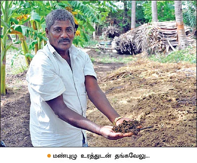 விதை முதல் விளைபொருள் விற்பனை வரை...வழிகாட்டும் ஓசூர் டி.வி.எஸ் நிறுவனம்!