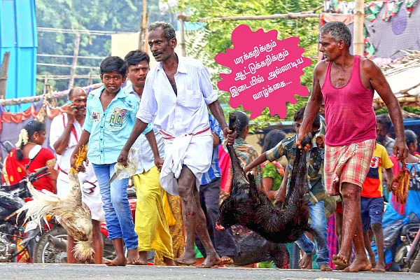வீட்டு சாப்பாடு - 21