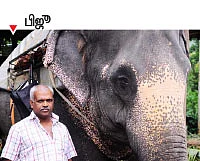 ஒரு சிறிய வனம்... அதில் எங்கள் மனம்!