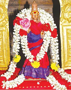 174-வது திருவிளக்கு பூஜை