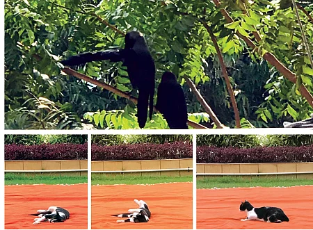 கழுகார் பதில்கள்!
