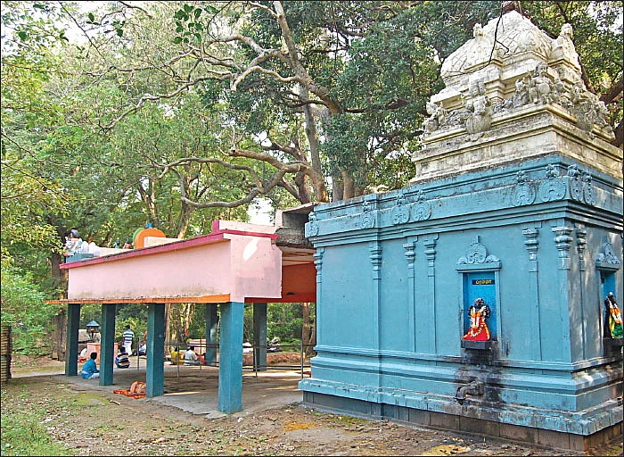 சித்தர்கள் போற்றும் அத்ரி மலை