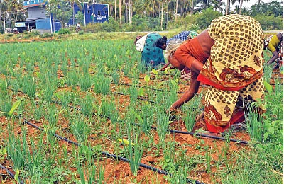 விதை முதல் விளைபொருள் விற்பனை வரை...வழிகாட்டும் ஓசூர் டி.வி.எஸ் நிறுவனம்!