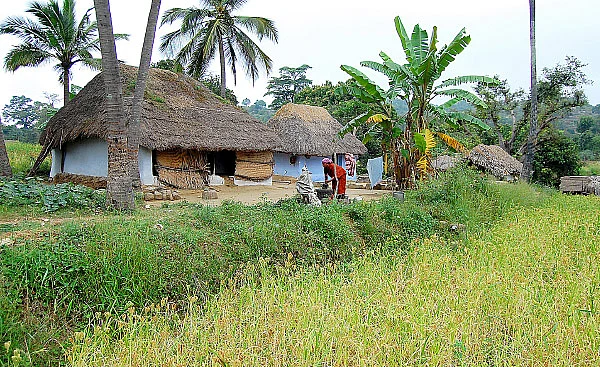 பாரம்பர்ய உணவுப் பயணம்