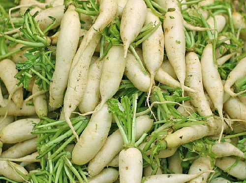 நலம் தரும் நாட்டுக்காய்கள்