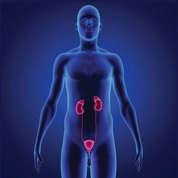 சிறுநீர் கழிப்பதில் அலட்சியம்