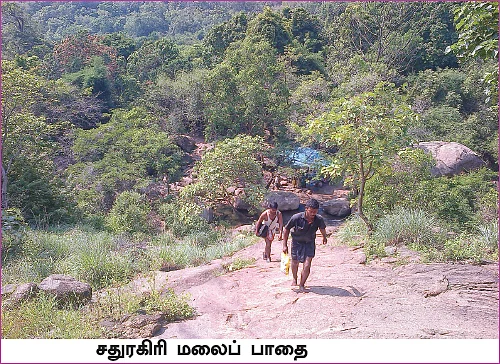 தமிழகம் இன்ஃபோ ஸ்பெஷல் #8 - விருதுநகர் 200 - இன்ஃபோ புக்