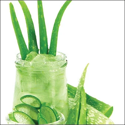 அழகு, ஆரோக்கியம் இரண்டுக்குமே கற்றாழை!