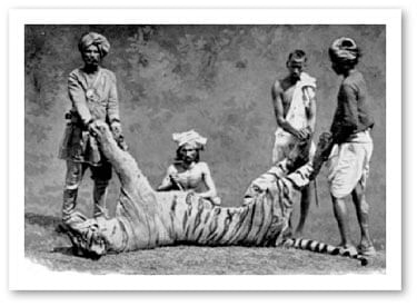 எனது இந்தியா!