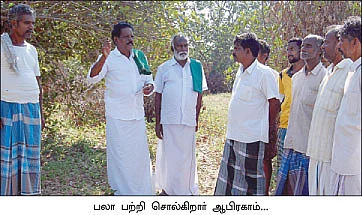 ''கூட்டு மரங்களால் கூடுதல் லாபம்!''