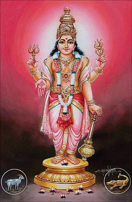 வாழ்வே வரம்!