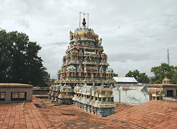 மங்கலங்கள் அருளும் ஆடித்தபசு! - சிறப்புத் தொகுப்பு