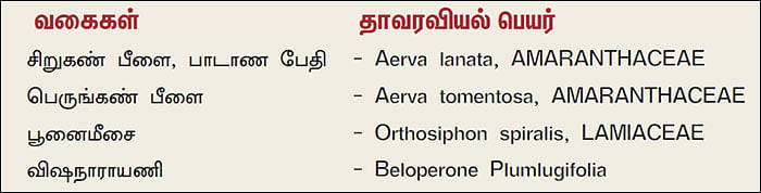 நல்மருந்து - தெரிந்த செடிகள்... தெரியாத பயன்கள்! - 8