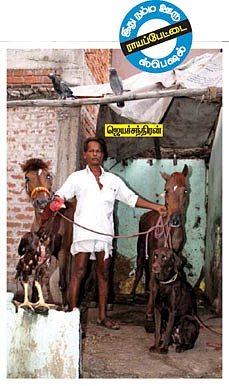 ரேஸில் முந்தும் விஜய், விக்னேஷ்!