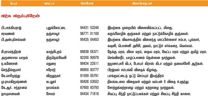 பசுமை சந்தை