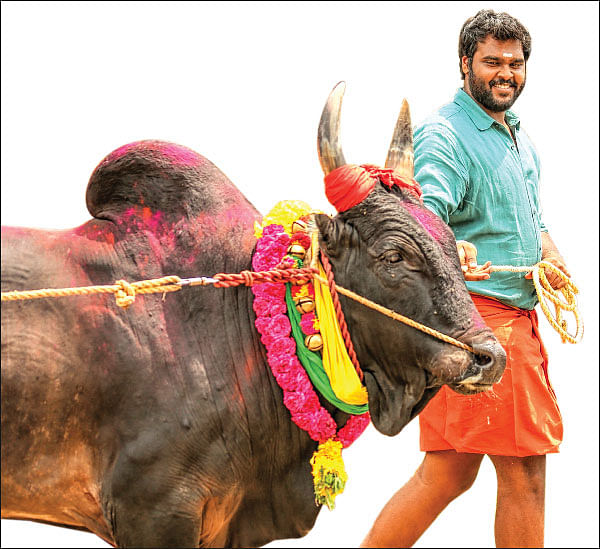 “படத்துல எந்த பில்டப்பும் இல்லை!”