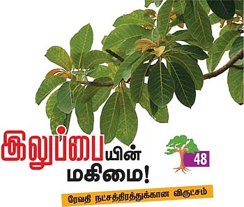 ஆரோக்கியம் அருளும் ஆலய விருட்சங்கள்!