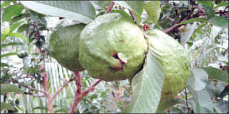 நீங்கள் கேட்டவை