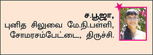 சுட்டி ஸ்டார் நியூஸ்!