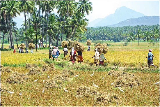 சங்க இலக்கியம் சொல்லும் வேளாண்மைச் செய்திகள்!