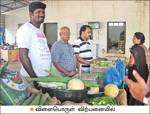 கலக்கலான வருமானம் தரும் கலப்புப் பயிர்கள்!