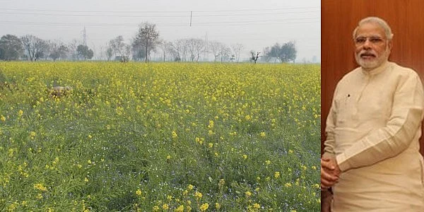 மீண்டும் கிளம்புது மரபணு பூதம்... மத்திய அரசின் திரைமறைவு நடவடிக்கைகள்!