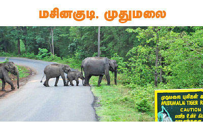 டூர் ஸ்பெஷல்