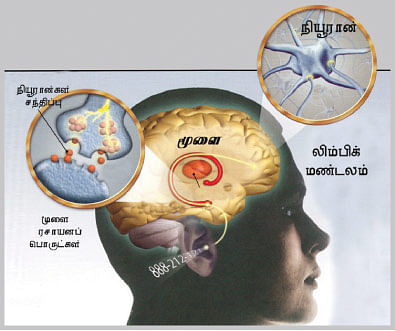 இப்படிக்கு வயிறு! - 6
