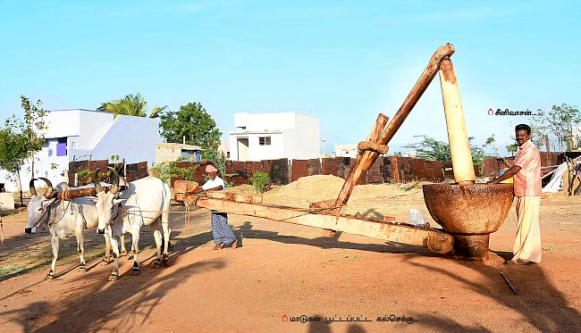 புத்துயிர் பெற்றுள்ள கல்செக்கு... பாரம்பர்யம் மாறாமல் எண்ணெய் உற்பத்தி!