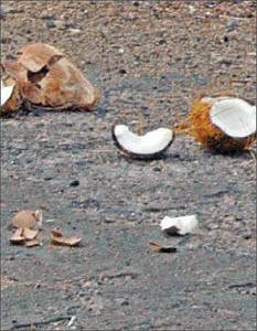 விகடன் ஜன்னல்