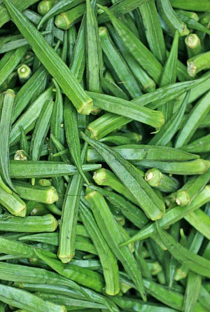 இயற்கை டாக்டர்