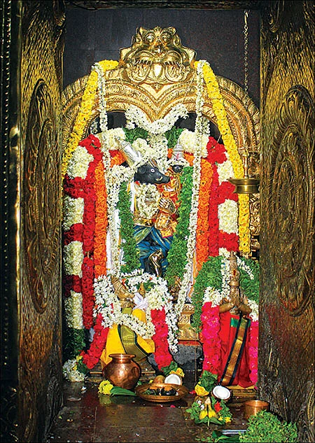 நிலப் பிரச்னைகள் தீரும் நிம்மதி பிறக்கும்! - மேல்பொதட்டூர் தரணி வராகர் தரிசனம்