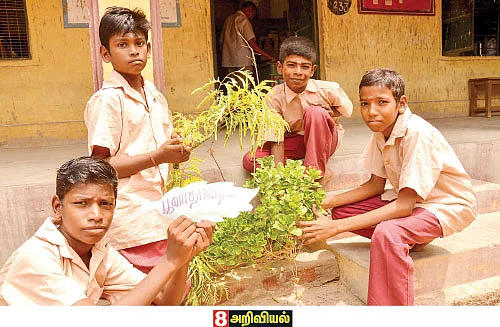 எஃப்.ஏ பக்கங்கள் - முதலாம் பருவம் ஆரம்பம்...