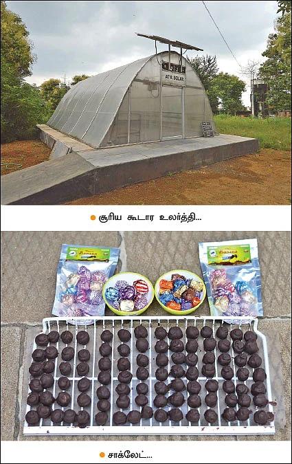 வாழை பவுடர் கிலோ ரூ. 500... வாழை சாக்லெட் கிலோ ரூ. 750... மகத்தான லாபம் தரும் மதிப்புக்கூட்டல்!