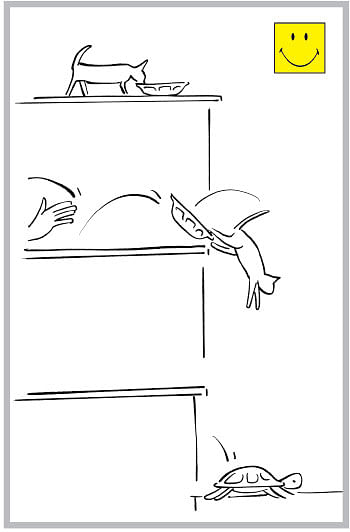 Cartoon jokes
